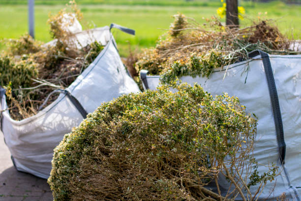 Best Estate Cleanout Services  in Decatur, AR
